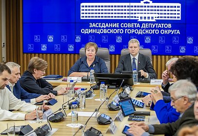 Депутаты обсудили систему здравоохранения на заседании Совета депутатов