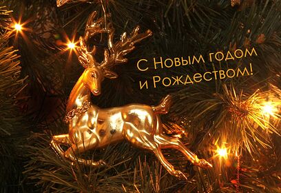 Поздравление жителей Одинцовского округа с Новым годом и Рождеством