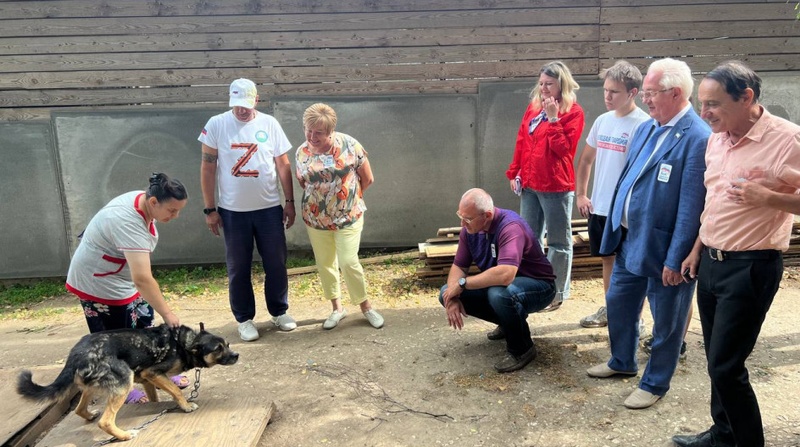 Директор приюта Инна Неделько показала депутатам условия содержания и ухода за животными, Депутаты посетили приют для бездомных животных «ГАВ»